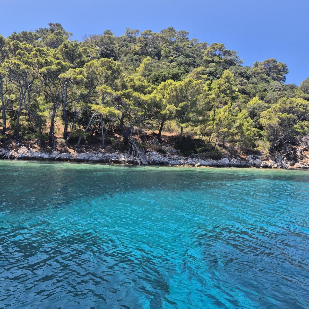 Mljet & Lastovo Daily Trips