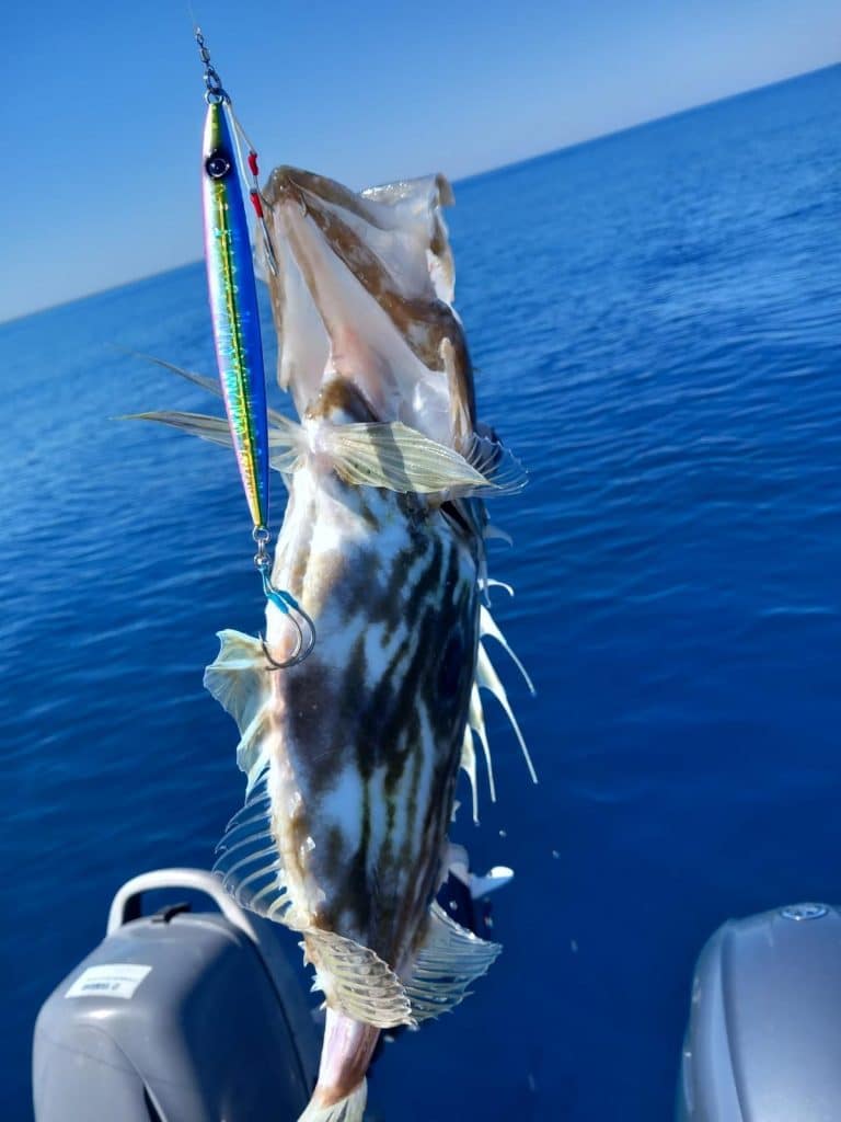 Fishing tours Korčula — small game coastal fishing