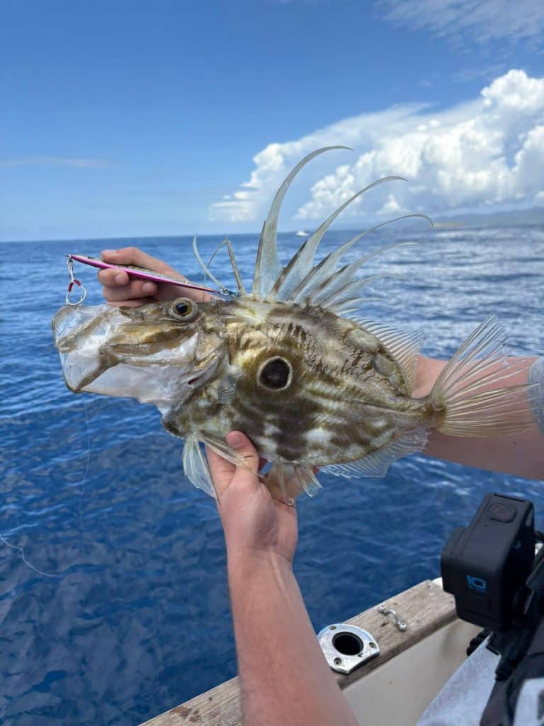 Fishing tours Korčula — small game coastal fishing
